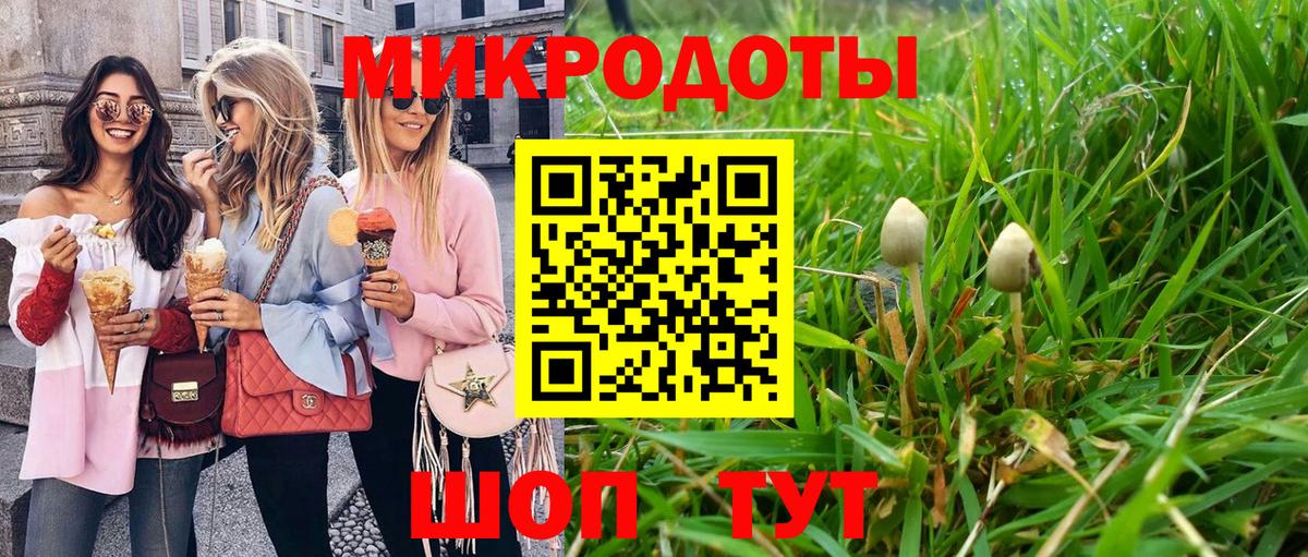 Елец  Псилоцибиновые грибы Psilocybine cubensis  Псилоцибиновые грибы Psilocybe  Вход с VPN 